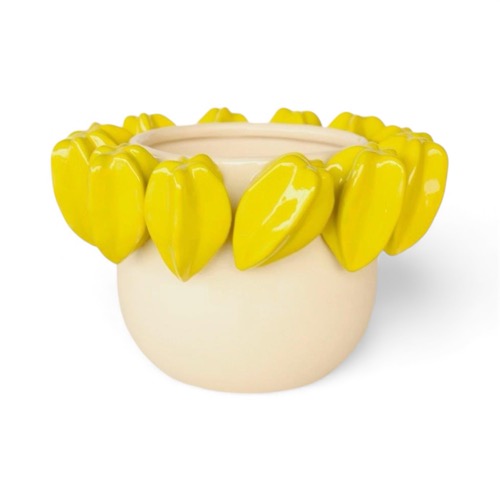 Cream & Lime Green Fruit Planter