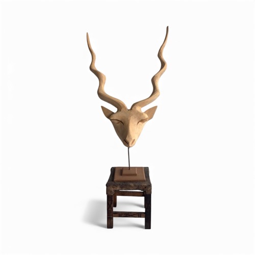 Natural Kudu Head On Stand