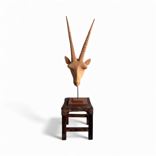 Natural Medium Springbok Head On Stand