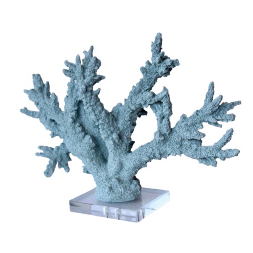 Pale Blue Coral On Perspex Base
