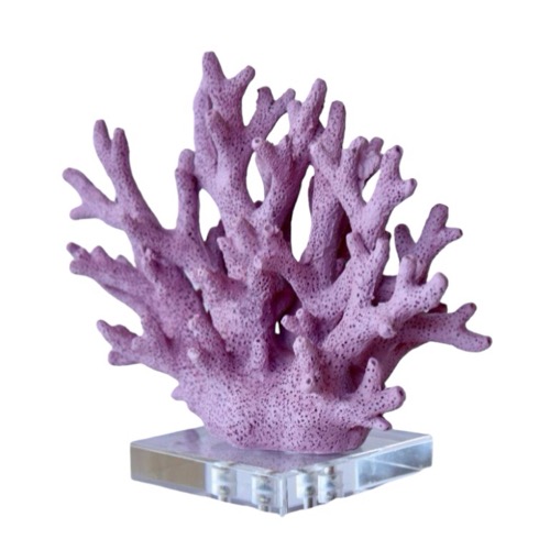 Mauve Coral On Perspex Base